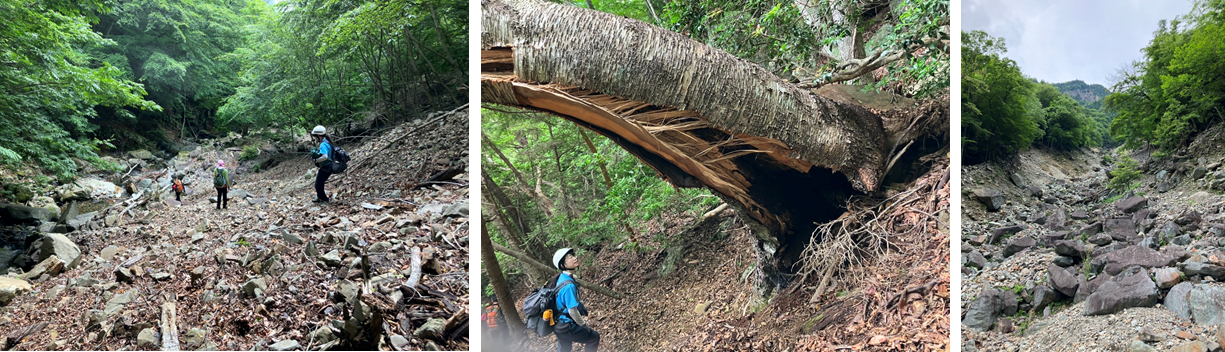 7月16日（日曜日）の画像3