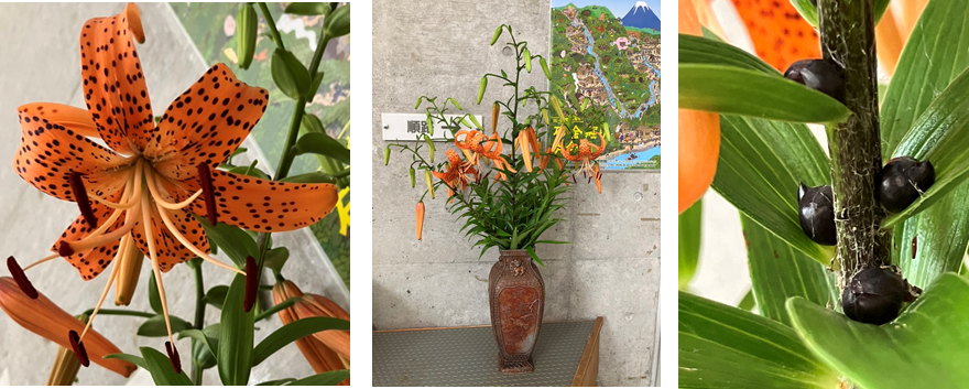 7月10日（月曜日）の画像2