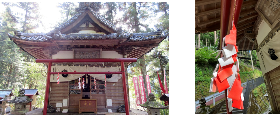 7月9日（日曜日）の画像1