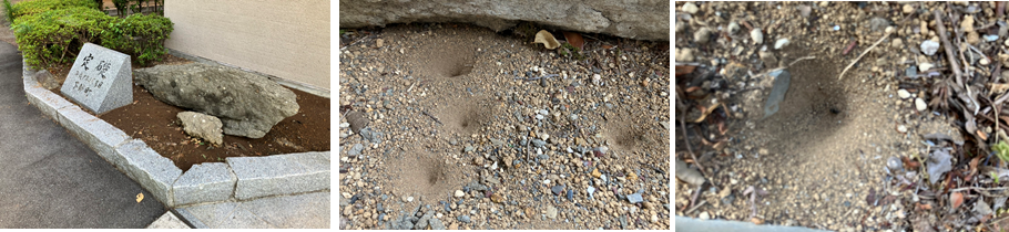 6月29日（木曜日）の画像1