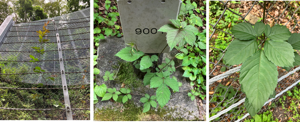 6月26日（月曜日）の画像2