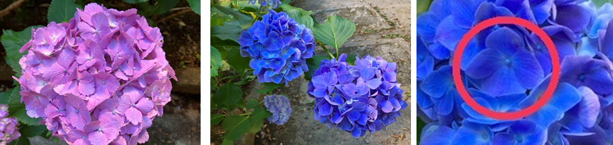 6月19日（月曜日）の画像2