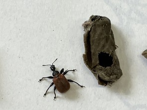 5月28日（日曜日）の画像2