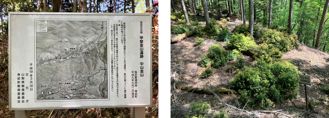 5月22日（月曜日）の画像1