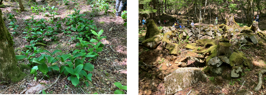 5月22日（月曜日）の画像2