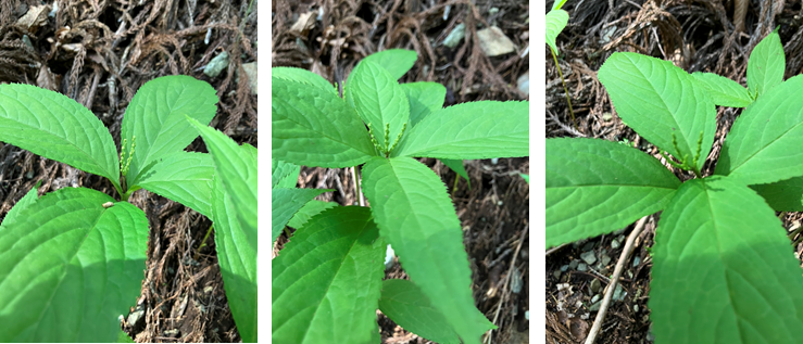 5月22日（月曜日）の画像3