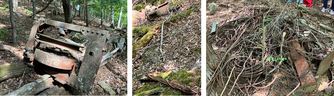 5月22日（月曜日）の画像4