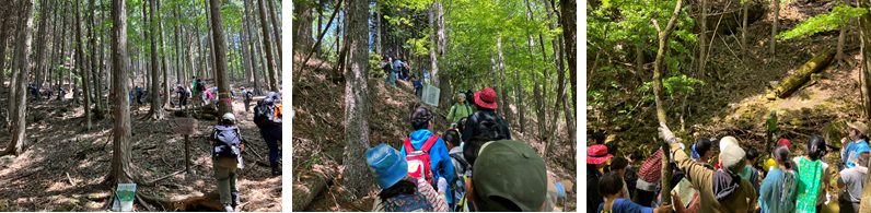 5月21日（日曜日）の画像