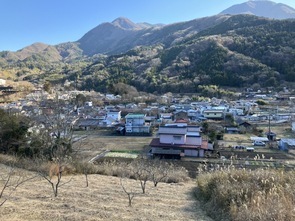 5月15日（月曜日）の画像