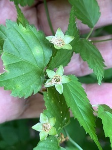 4月24日（月曜日）の画像2