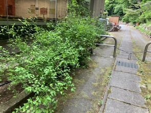 4月24日（月曜日）の画像3