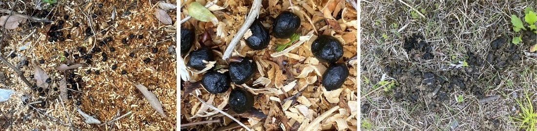 4月17日（月曜日）の画像