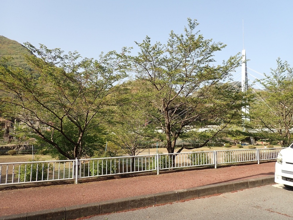 4月11日（火曜日）の画像1