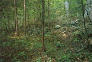 茅小屋金山の画像