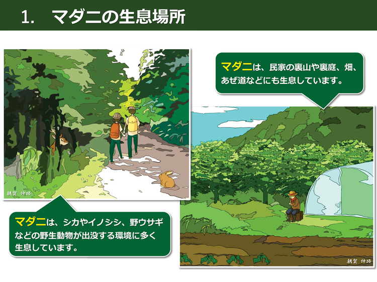 マダニに刺されないためにはの画像2