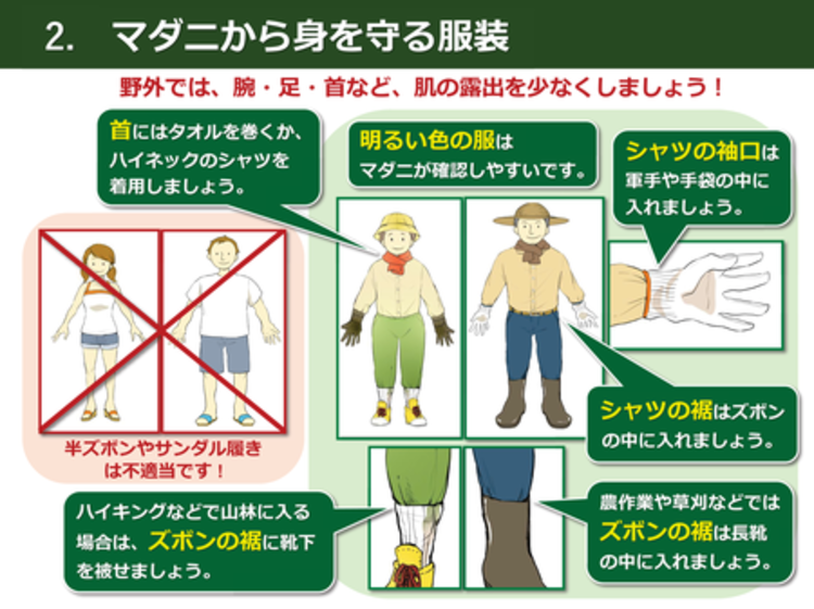 マダニに刺されないためにはの画像3
