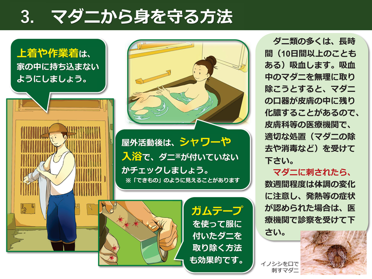 マダニに刺されないためにはの画像4