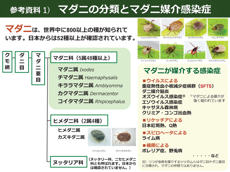 マダニに刺されないためにはの画像7
