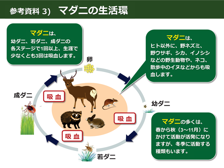 マダニに刺されないためにはの画像9