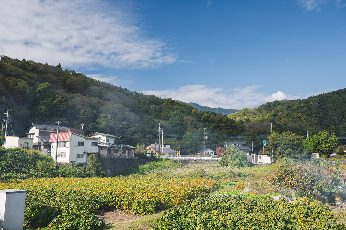 身延町の風景