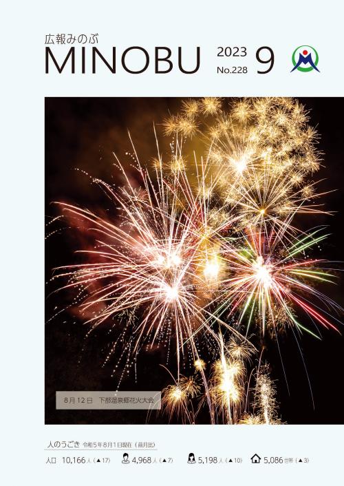 下部温泉郷花火大会