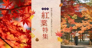 紅葉特集