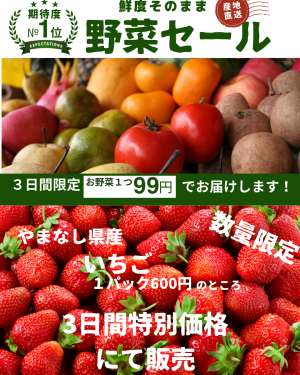 にしじまマルシェイベント5