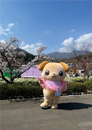 みのワン桜バージョン