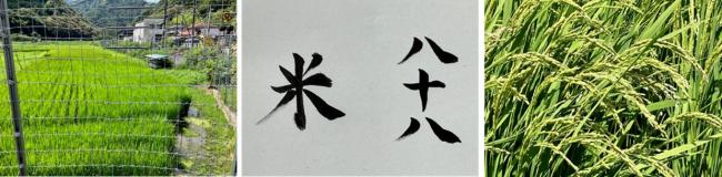 お米