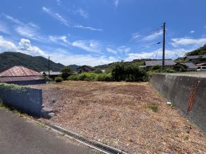 登録番号33外観