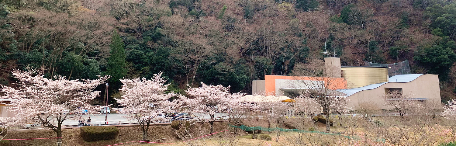 金山博物館サブサイトのタイトル画像